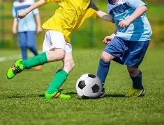 肖战,成毅,杨紫领衔新,开云体育,开云体育官网,开云体育app,开云体育平台,KAIYUN,SPORTS,kaiyun登录入口