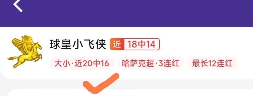 体育品牌赞助赛事,观众热情高涨
